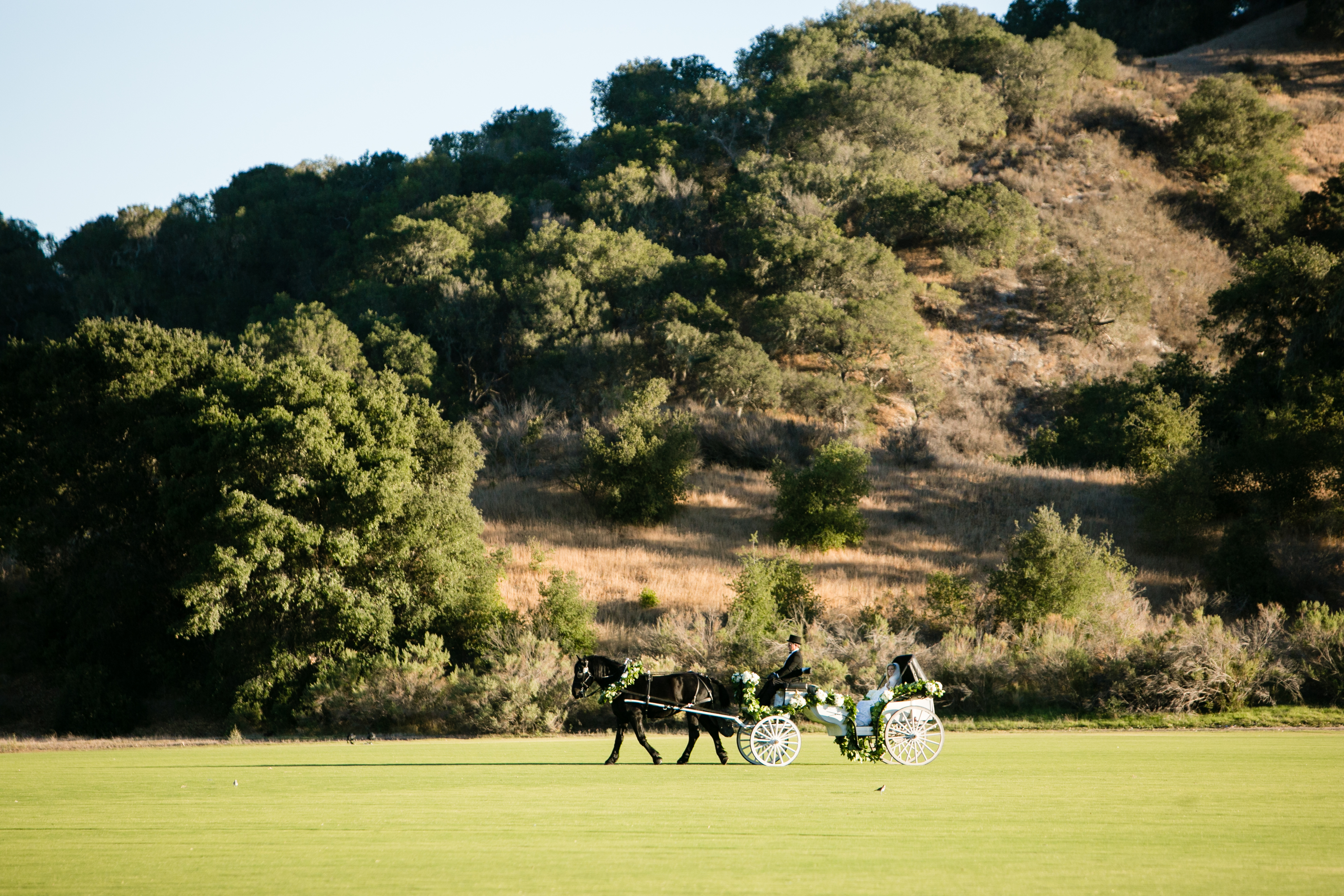 Horse and Wagon