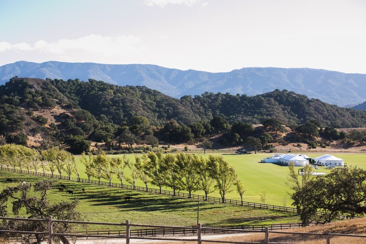 Polo Field Tents